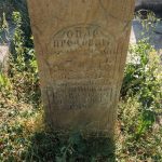 Споменик Гају Н. Младеновићу на Младеновића гробљу у Рупељеву (фото Бојан Радојичић)