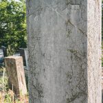 Споменик Тикомиру Младеновићу на Младеновића гробљу у Рупељеву (фото Бојан Радојичић)