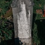 Споменик Анђелку Дрндаревићу на Младеновића гробљу у Рупељеву (фото Бојан Радојичић)