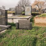 Споменик Димитрију Симовићу на Старом варошком гробљу у Пожеги (фото Бојан Радојичић)