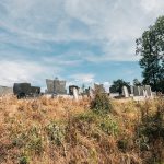 Доње гробље у Сврачкову (фото Бојан Радојичић)
