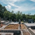 Доње гробље у Сврачкову (фото Бојан Радојичић)