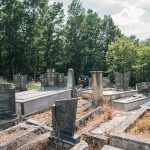 Доње гробље у Сврачкову (фото Бојан Радојичић)
