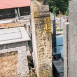 Споменик Свелу Савчићу на Доњем гробљу у Сврачкову (фото Бојан Радојичић)