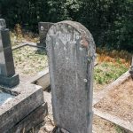 Споменик Саву Васковићу на Доњем гробљу у Сврачкову (фото Бојан Радојичић)