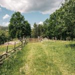 Дивнића гробље у Тометином Пољу (фото Бојан Радојичић)