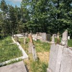 Дивнића гробље у Тометином Пољу (фото Бојан Радојичић)