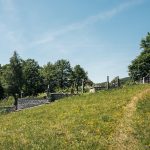 Гробље на потесу Јељенци у Тометином Пољу (фото Бојан Радојичић)