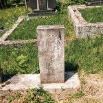 Споменик Милићу Ј. Гајовићу на гробљу на потесу Јељенци у Тометином Пољу (фото Бојан Радојичић)