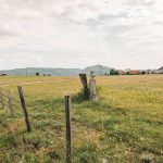 Крајпуташи у Тометином Пољу (фото Бојан Радојичић)