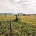 Крајпуташи у Тометином Пољу (фото Бојан Радојичић)