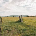 Крајпуташи у Тометином Пољу (фото Бојан Радојичић)