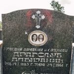 Споменик Драгољубу Албијанићу на гробљу на потесу Разбојиште у Тометином Пољу (фото Бојан Радојичић)