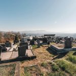 Тврдићко гробље (фото Бојан Радојичић)