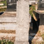 Споменик Драгољубу и Микаилу Радосављевићима на Тврдићком гробљу (фото Бојан Радојичић)