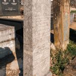Споменик Драгољубу и Микаилу Радосављевићима на Тврдићком гробљу (фото Бојан Радојичић)