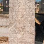 Споменик Драгољубу и Микаилу Радосављевићима на Тврдићком гробљу (фото Бојан Радојичић)