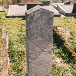 Споменик Драгољубу и Микаилу Радосављевићима на Тврдићком гробљу (фото Бојан Радојичић)