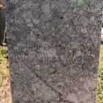 Споменик Драгољубу и Микаилу Радосављевићима на Тврдићком гробљу (фото Бојан Радојичић)
