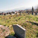 Споменик Микаилу Стевановићу на Тврдићком гробљу (фото Бојан Радојичић)