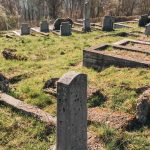 Споменик Тихомиру Стефановићу на Тврдићком гробљу (фото Бојан Радојичић)