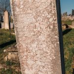 Споменик Велибору Илићу на Тврдићком гробљу (фото Бојан Радојичић)