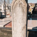 Споменик Драгутину Цвијовићу на Тврдићком гробљу (фото Бојан Радојичић)