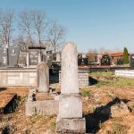 Споменик Милоју Савићу на Тврдићком гробљу (фото Бојан Радојичић)
