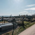 Гробље на потесу Крчевине у Висибаби (фото Бојан Радојичић)