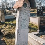Споменик Петру Симићевићу на Вијогор гробљу у Висибаби (фото Бојан Радојичић)
