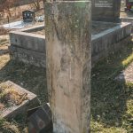 Споменик Ивану Симићевићу на Вијогор гробљу у Висибаби (фото Бојан Радојичић)