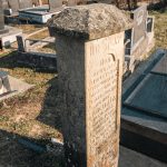 Споменик Василију Николићу на Вијогор гробљу у Висибаби (фото Бојан Радојичић)