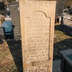 Споменик Василију Николићу на Вијогор гробљу у Висибаби (фото Бојан Радојичић)