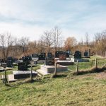 Лазаревића гробље у Врањанима (фото Бојан Радојичић)