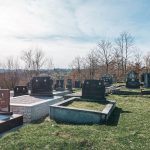 Лазаревића гробље у Врањанима (фото Бојан Радојичић)