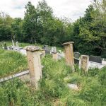 Димитријевића гробље у Засељу (фото Бојан Радојичић)
