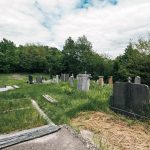 Димитријевића гробље у Засељу (фото Бојан Радојичић)