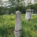 Димитријевића гробље у Засељу (фото Бојан Радојичић)