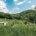 Гробље у Горњем селу у Засељу (фото Бојан Радојичић)