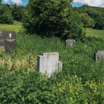 Гробље у Горњем селу у Засељу (фото Бојан Радојичић)