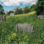 Гробље у Горњем селу у Засељу (фото Бојан Радојичић)