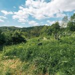 Гробље у Горњем селу у Засељу (фото Бојан Радојичић)