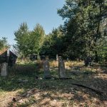 Гробље на потесу Осоје у Засељу (фото Бојан Радојичић)