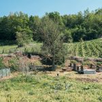 Гробље поред потока у Засељу (фото Бојан Радојичић)