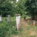 Споменик Живку Војиновићу на гробљу у Средњем селу у Засељу (фото Бојан Радојичић)