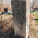 Споменик Тикомиру Миросавићу на Бановића гробљу у Здравчићима (фото Бојан Радојичић)