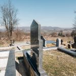 Споменик Станимиру Танасијевићу на Кречковића гробљу у Здравчићима (фото Бојан Радојичић)