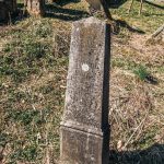 Споменик Тодору Шојићу на Шојића гробљу у Здравчићима (фото Бојан Радојичић)