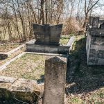 Споменик Тодору Шојићу на Шојића гробљу у Здравчићима (фото Бојан Радојичић)