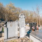 Споменик Василију Шојићу на Шојића гробљу у Здравчићима (фото Бојан Радојичић)